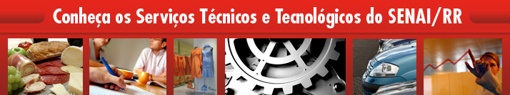 Serviços Técnicos e Tecnológicos